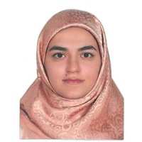 نگین وطنی