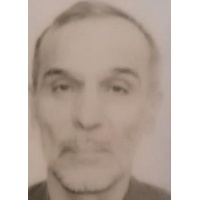 محمود  شاه شرقی 