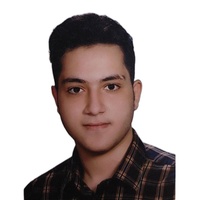 محمدرضا  علی محمدی