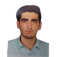 سید امیر مهدی شریفی